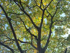 -福建鲤鱼洲酒店