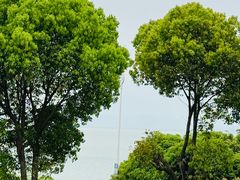 -美味之家·湖景农家乐(太湖东山店)