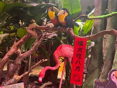 -正佳雨林生态植物园