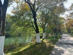 -阳澄湖费尔蒙酒店颐丰阁中餐厅(马鞍山西路店)
