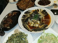 -京北渔家傲