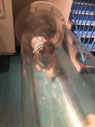 -北京科学中心儿童乐园