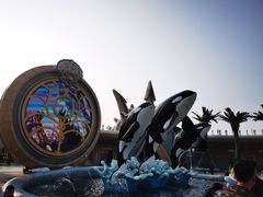 -上海海昌海洋公园-停车场