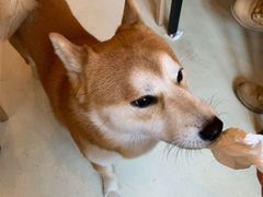 -餐酒吧Com-ing Bar(上海路店)