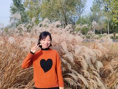 -汉长安城未央宫国家考古遗址公园