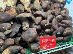 -太婆天府山珍酒楼(亚运村店)