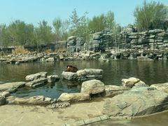 -北京野生动物园