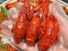 -杨氏青龙虾·羊蝎子(金盛路总店)