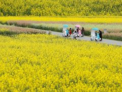 -中国天府农业博览园