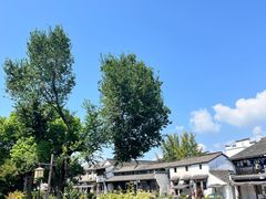 -东梓关景区村庄