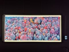 -罗红摄影艺术馆