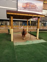 -萌宠亲子动物乐园(槐房万达店)