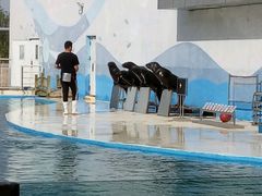 -北戴河圣蓝海洋公园