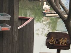 -太极禅苑