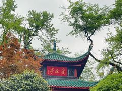 -长沙国金中心异国印象酒店