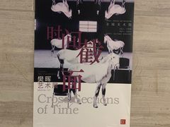 -南京书画院金陵美术馆