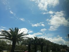 -洛龙公园