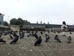 -伦敦塔桥
