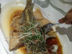 android_upload_pic-至潮餐厅精致粤菜·活鲈鱼·走地鸡(珠江新城店)