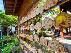 -医王山·飞騨国分寺