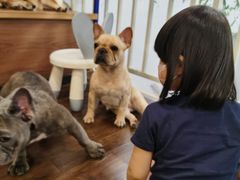 -柯斗斗主题餐厅·狗咖·围炉煮茶·茶饮(国瑞升平里店)