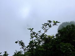 -牛背梁国家森林公园