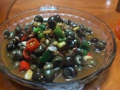 -全乐鱼馆·淳牌有机鱼直营店