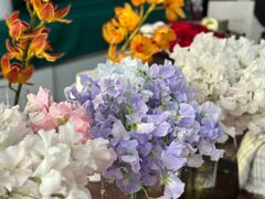 -双季花艺园艺市场(浦东店)