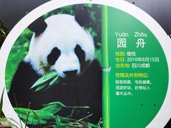 -深圳野生动物园