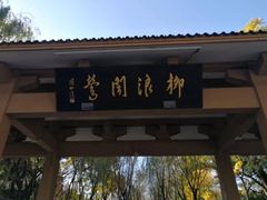 -柳浪闻莺公园