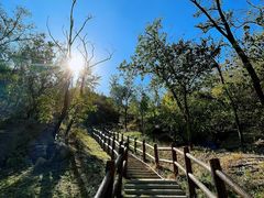 -白水寺森林公园