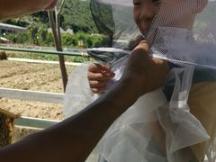 -宁波九龙湖开元度假村