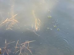 -门城湖公园