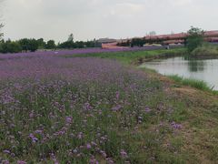 -江苏三台山国家森林公园