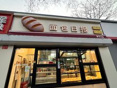 -面包日报