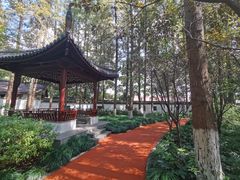 -瀛洲公园