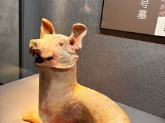 -荆州博物馆