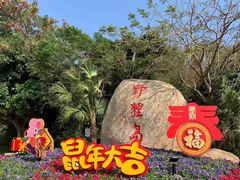 -野狸岛