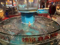 -魏铭鱼头捞饭(晋阳路店)