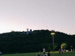 -羊山湖公园