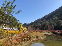-广州市石门国家森林公园
