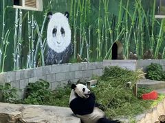 -南昌动物园