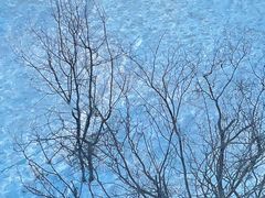 -鳌山滑雪度假区
