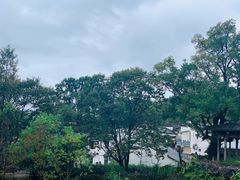 -塔川景区