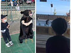-东方熊牧场