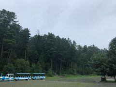 -五营红松林海景区