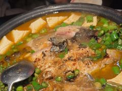 -探鱼·鲜青椒爽麻烤鱼(广州花都来又来店)