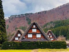 -白川乡与五箇山的合掌构造村落