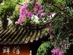 -龙潭水乡