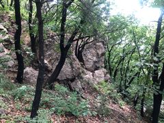 -沈阳辉山风景区